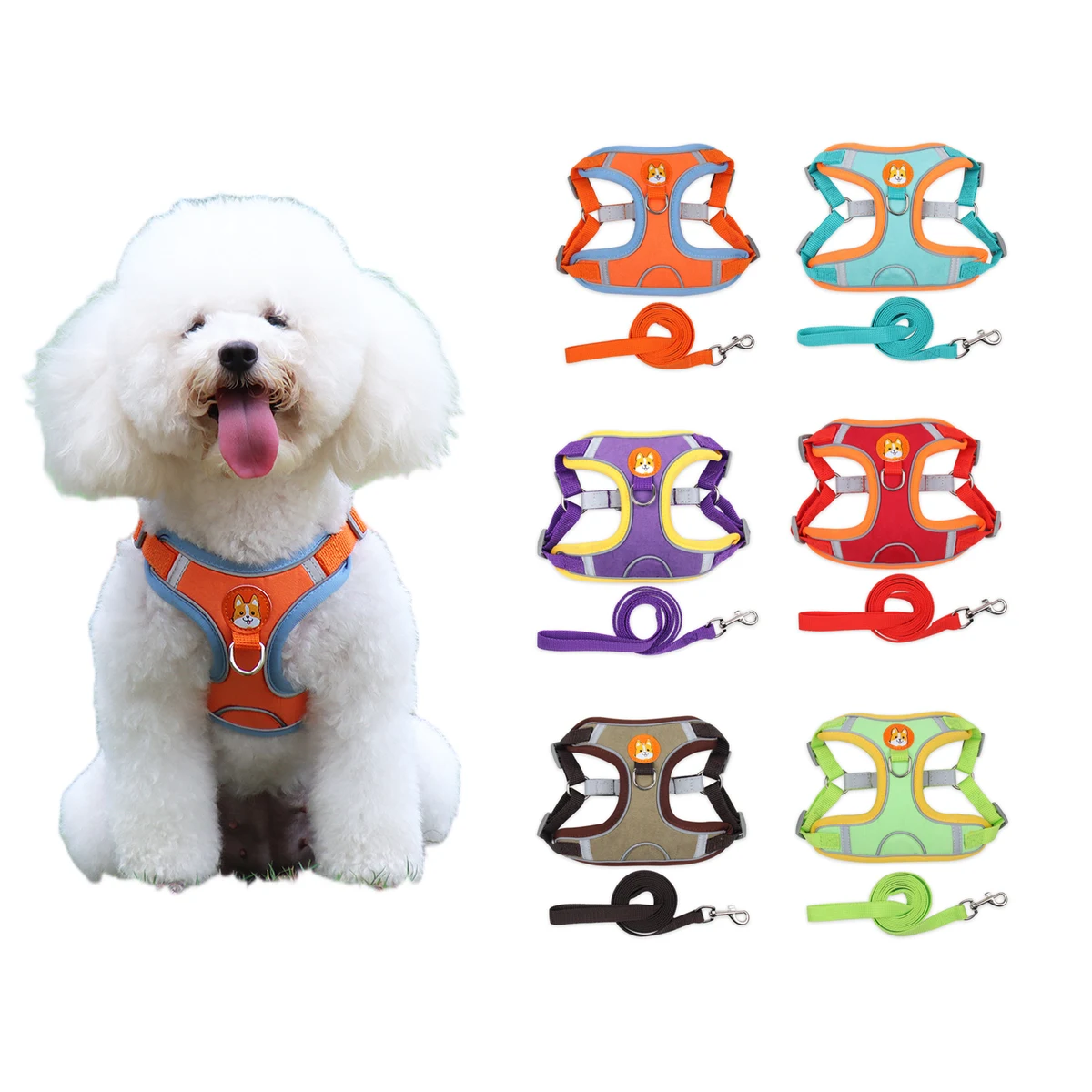 Pet Leashes and Collars 1