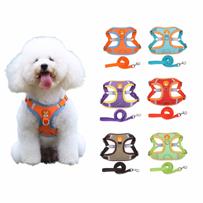 Pet Leashes and Collars