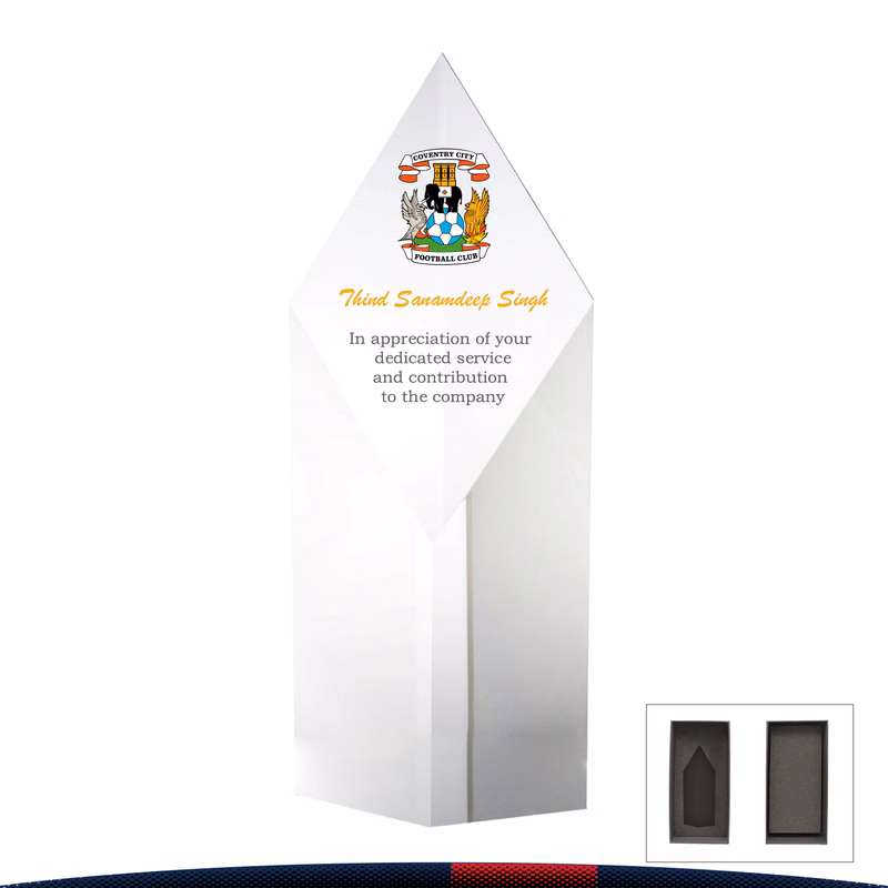 Socler Diamond Block Award