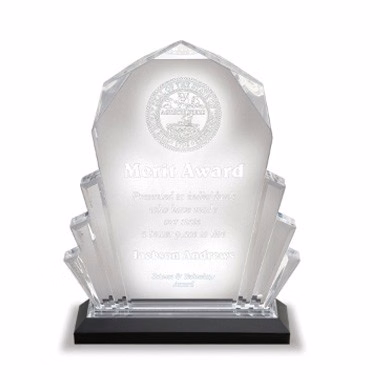 6"x9" Silver Faceted Impress Acrylic Trophy