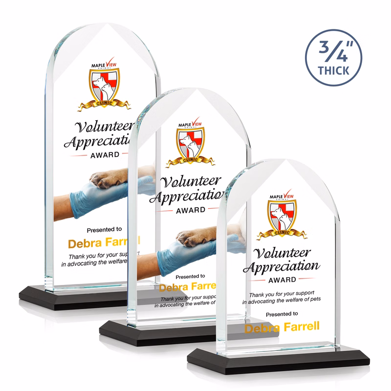 Blake VividPrint™ Award - Black