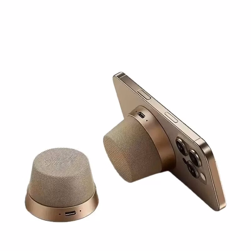 Bluetooth Speaker With Phone Stand Waterproof TWS Sound