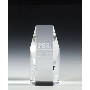 6" OptiMaxx Hexagon Award 1