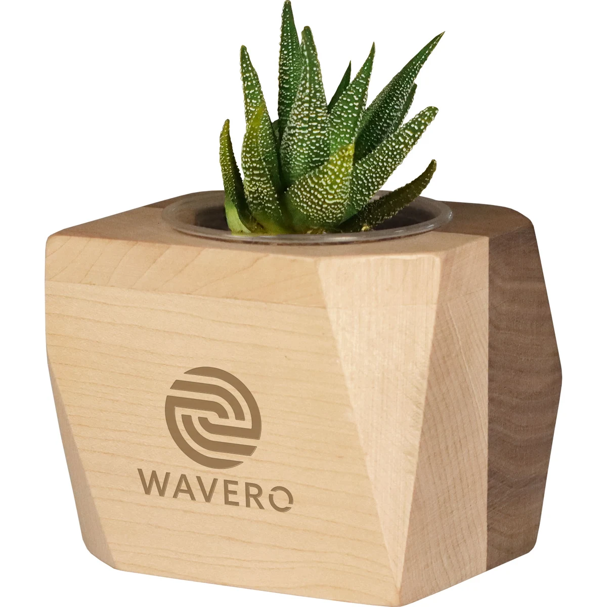 Geometric Wooden Planter with Succulent 1