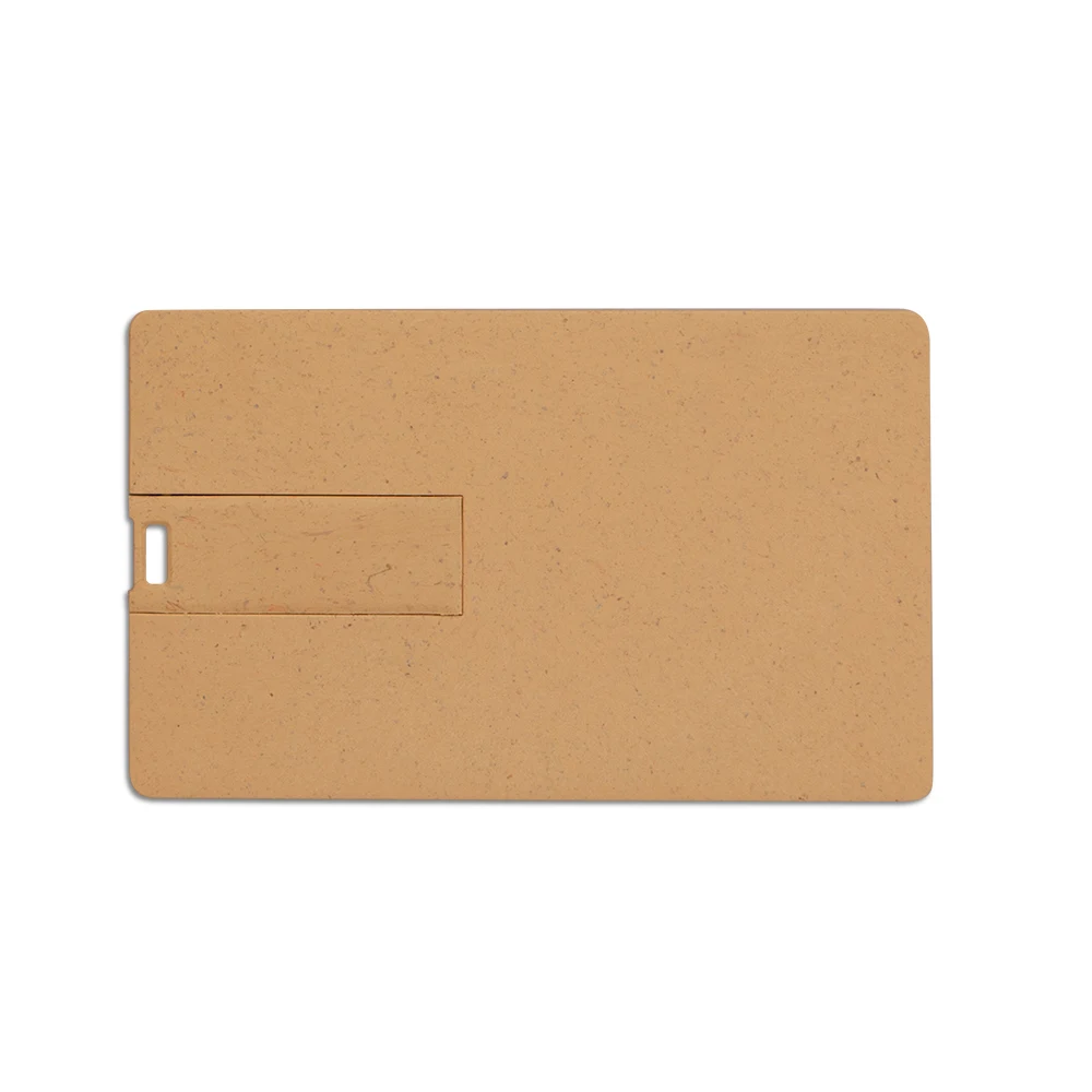 Broadview Eco-Friendly Card USB 1