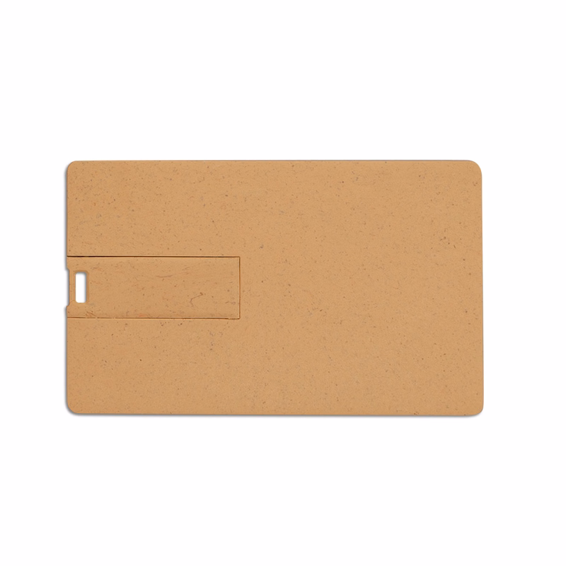 Broadview Eco-Friendly Card USB