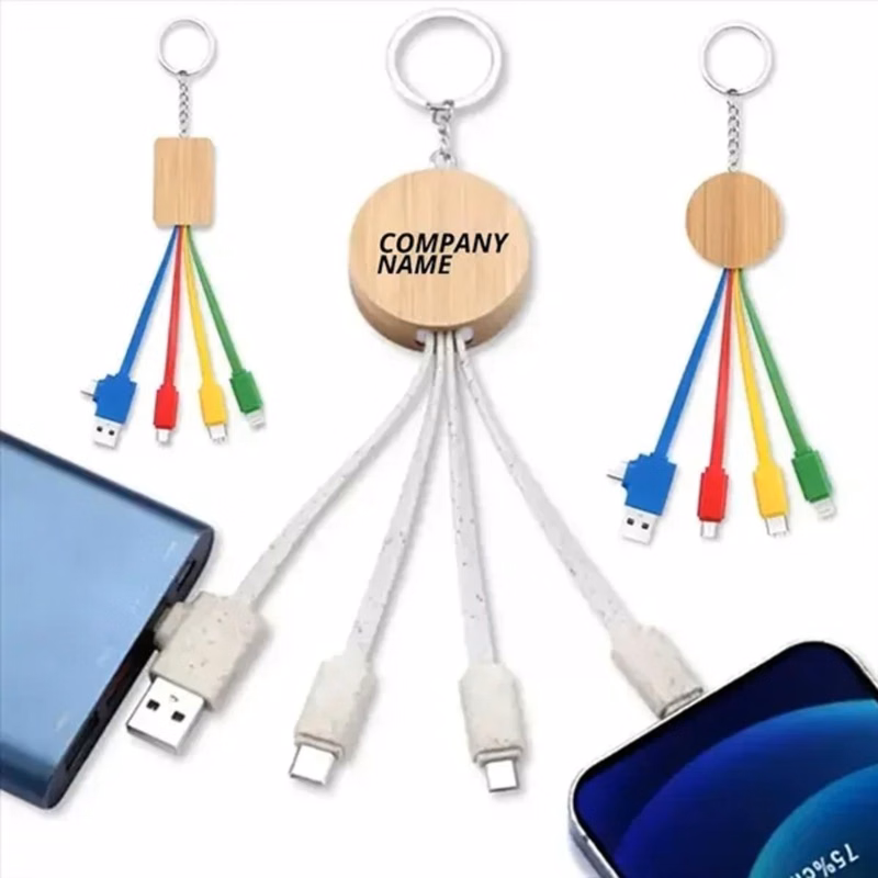 4 in 1 Multi-Charging Cable