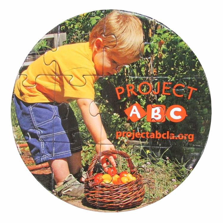 12 Pieces - 5 1/2" Diameter - Small Puzzle