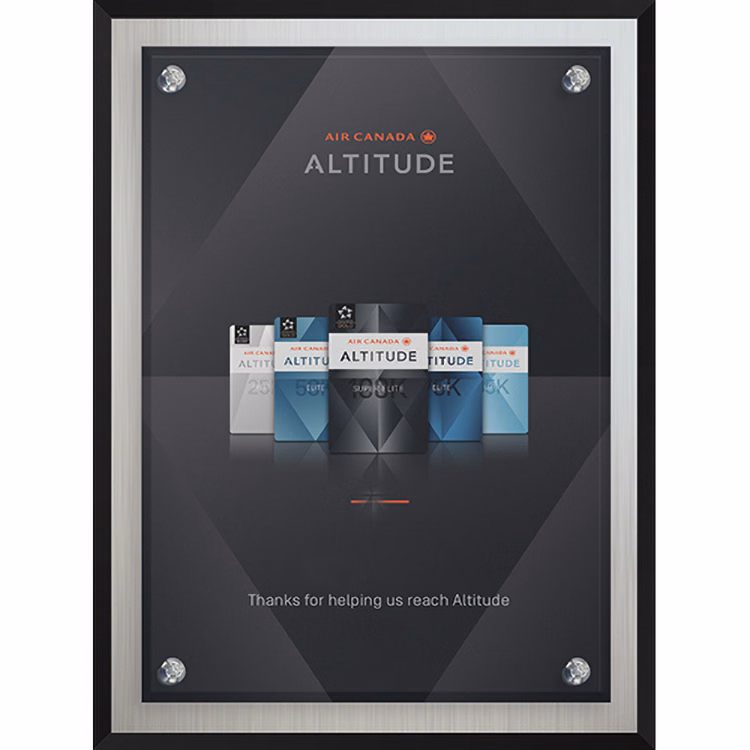 Econo Series Frosted Aluminum Plaque (6"x 8") (PhotoImage)