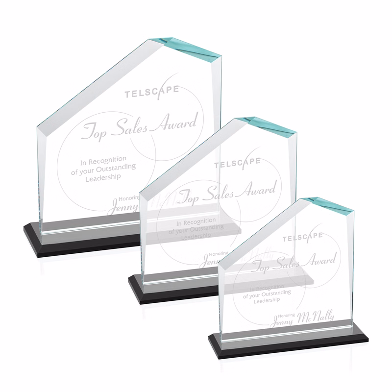 Fairmont Award - Black
