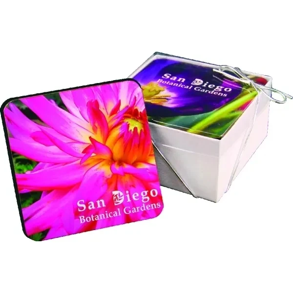 Ultra Vivid Recycled Wood Coaster Set of 4 1