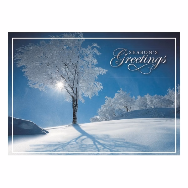 Sky Blue Winter Wishes Holiday Greeting Card