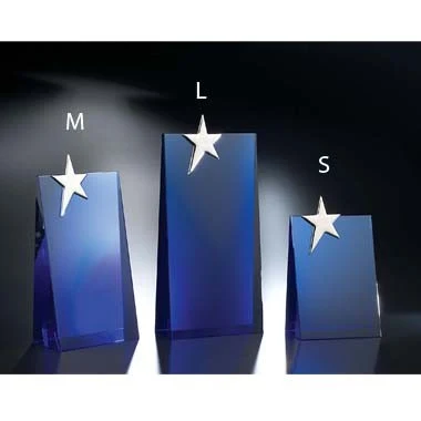 STAR PERFORMER OPTIC CRYSTAL (LARGE) 1