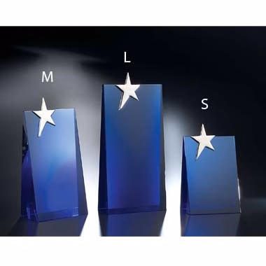 STAR PERFORMER OPTIC CRYSTAL (LARGE)