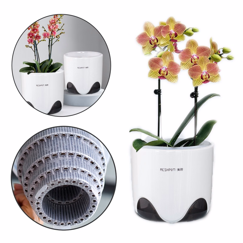 5 inch Orchid Pot with Holes