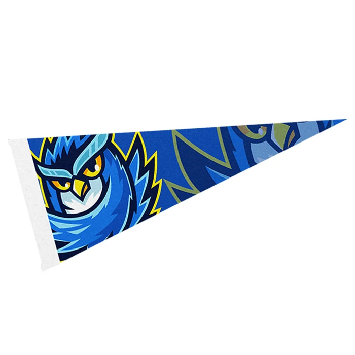 4" x 10" Full Color Felt Pennant - with Strip 1