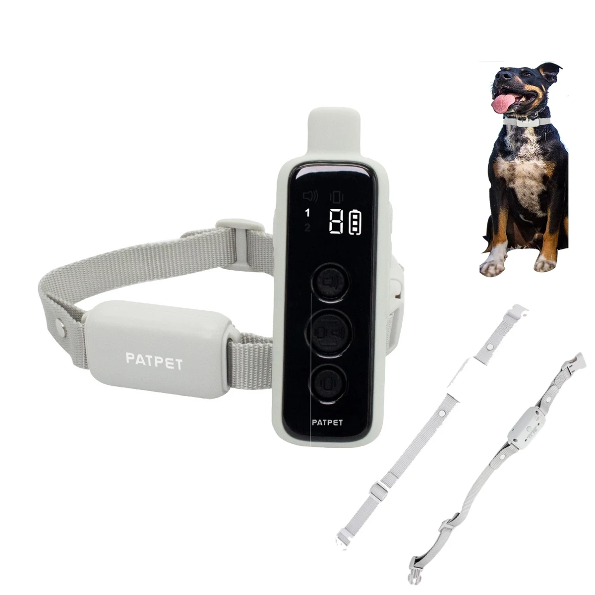 Rechargeable Dog Training Collar 1