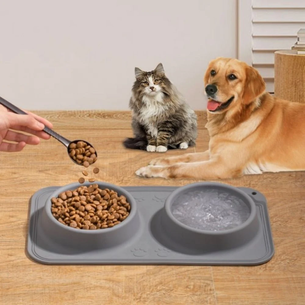 Pet Health Bowl 1