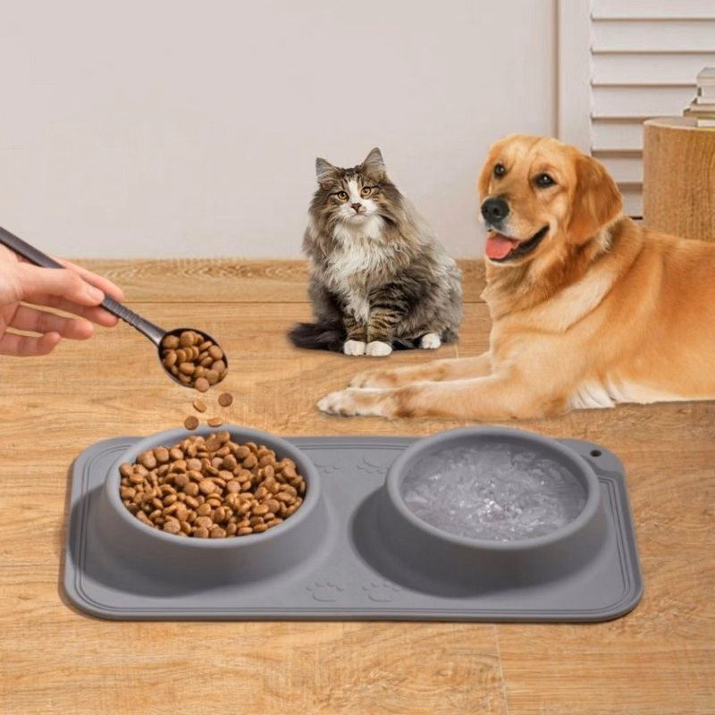 Pet Health Bowl