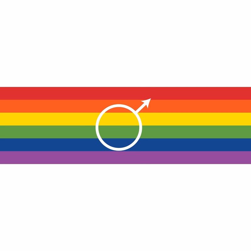 Gay Window Decals 3" x 10"