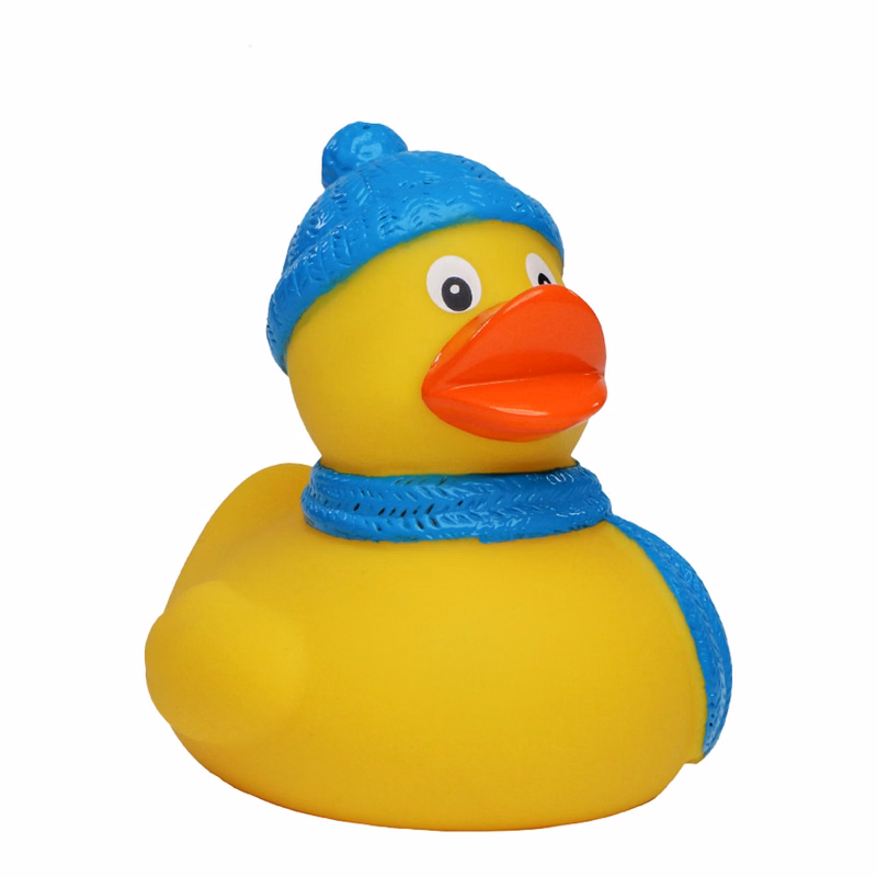 Winter Duck