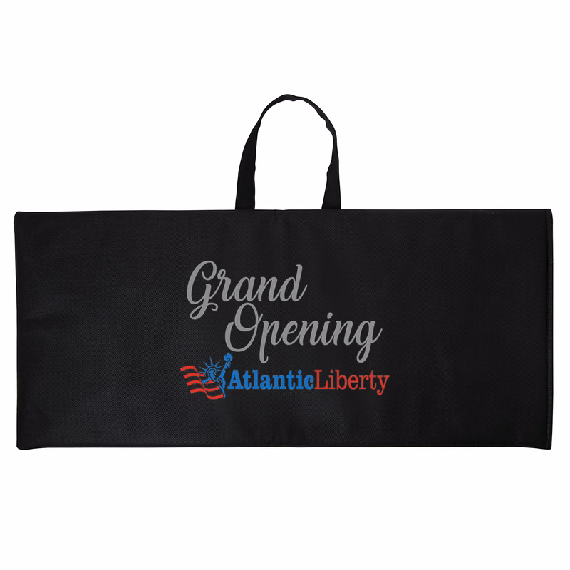 Carrying Case - ColorVista