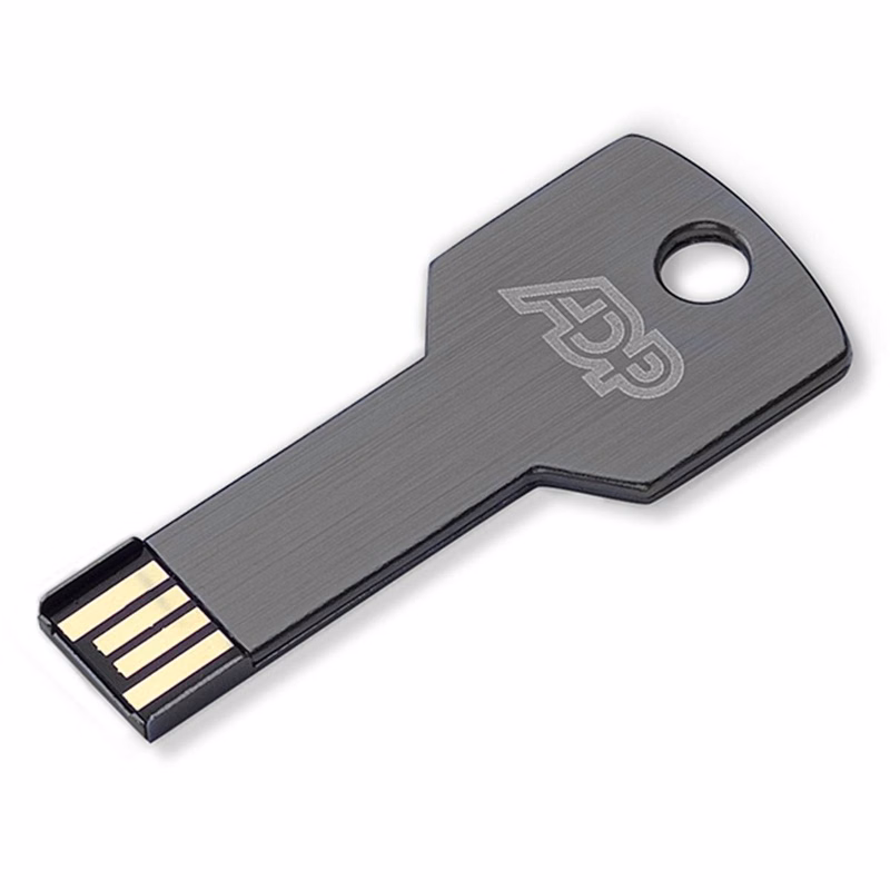 Key USB Flash Drive w/ Key Chain (8 GB)