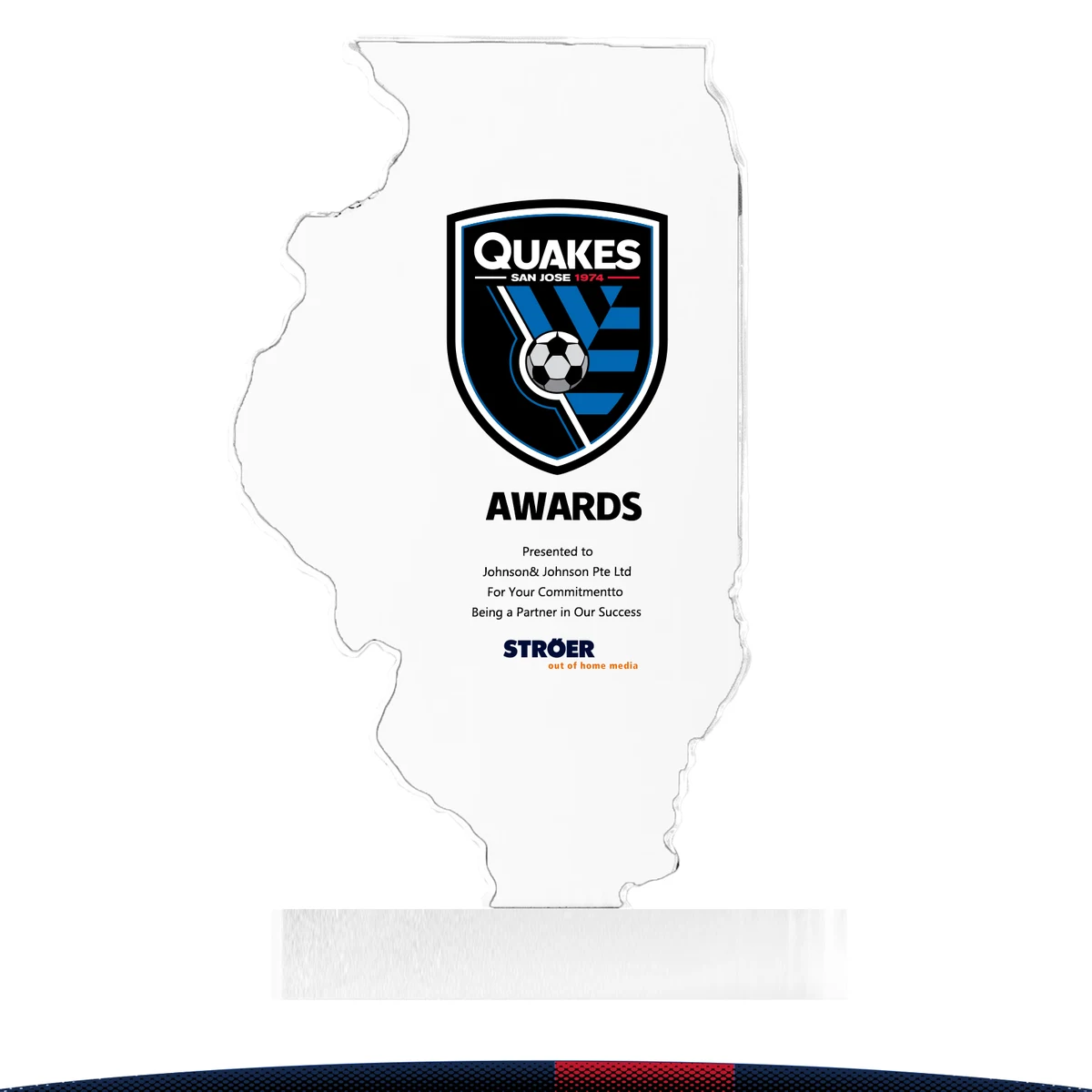 Flovix Illinois Crystal Award 1