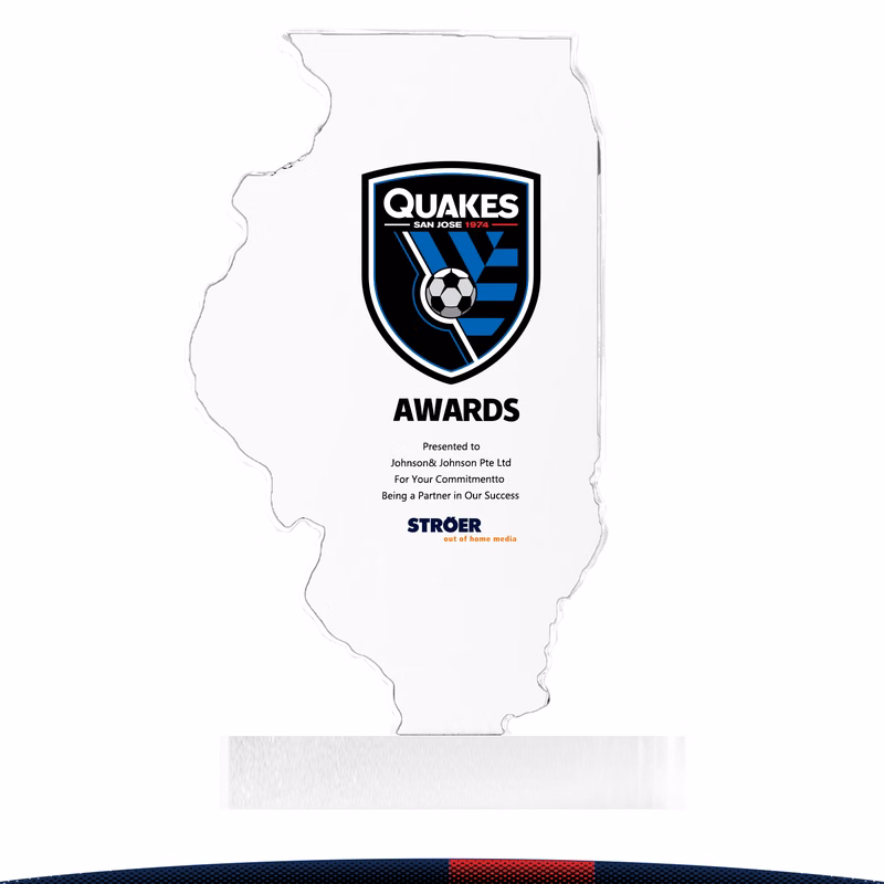 Flovix Illinois Crystal Award