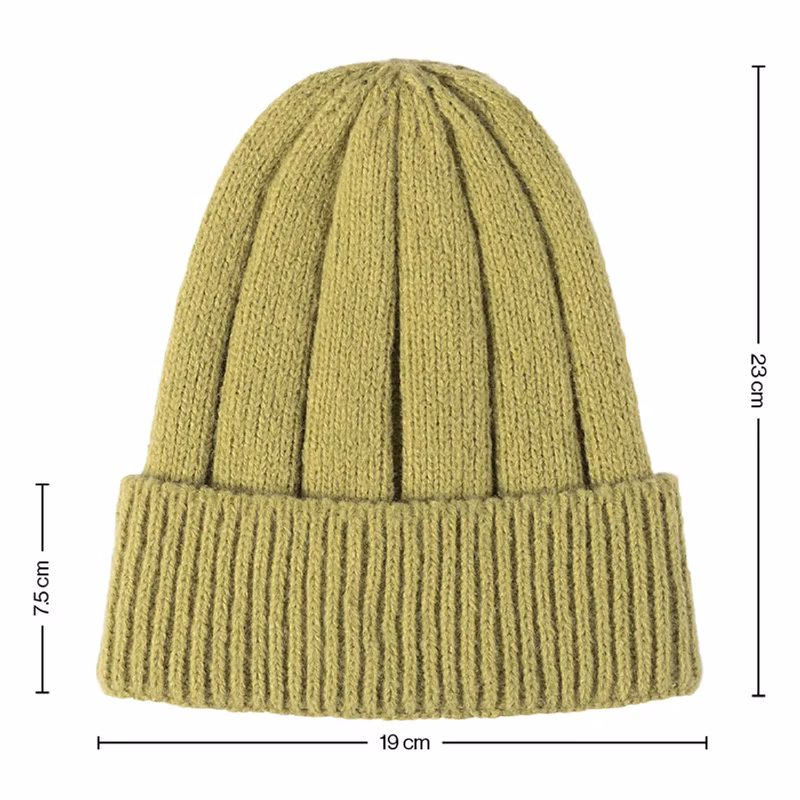 Splendid Polyester Beanies