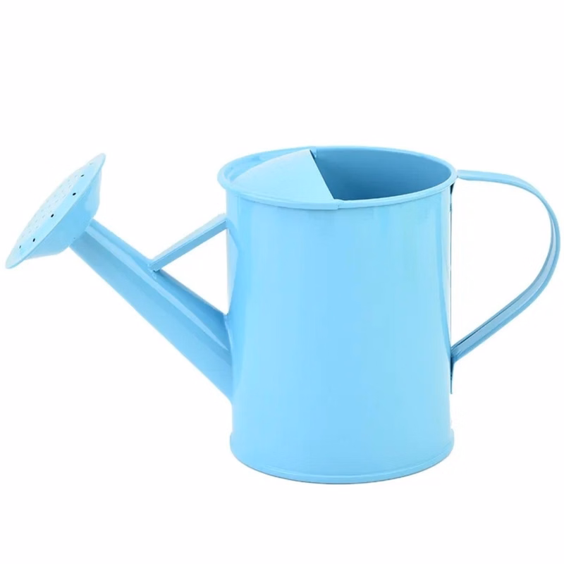 Iron Watering Can with Fine Hole Spout