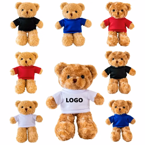 Plush Bear with T-Shirt