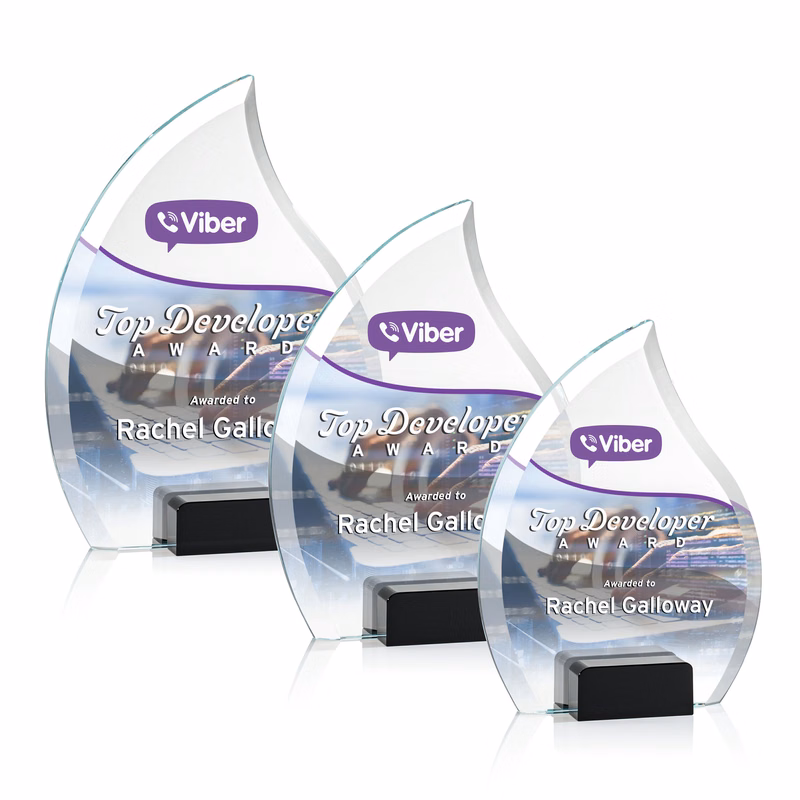 Romy VividPrint™ Award - Black