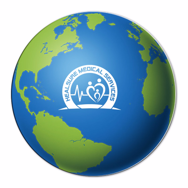 Globe Luggage Tag
