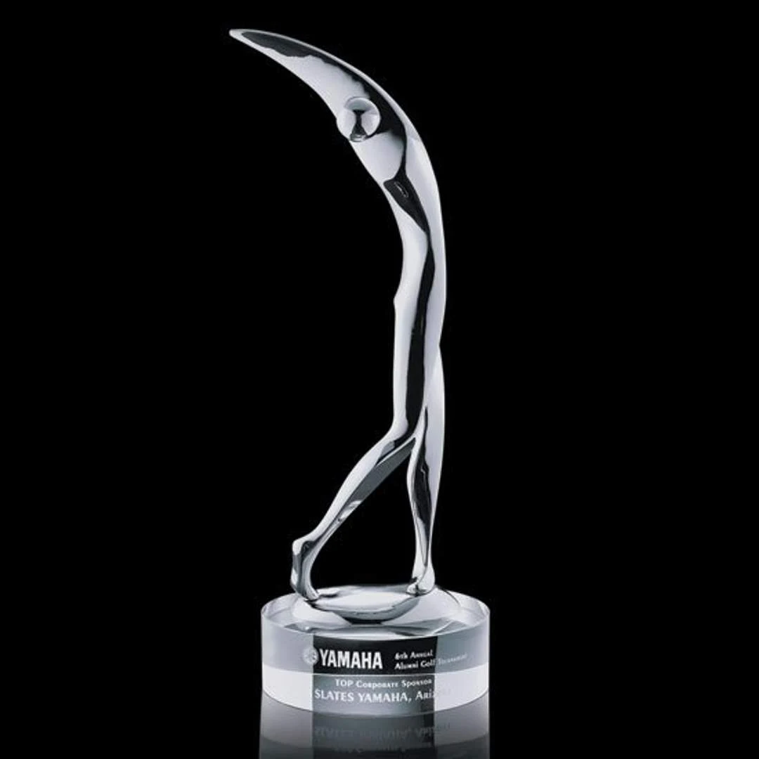 Stoke Golfer Award 1