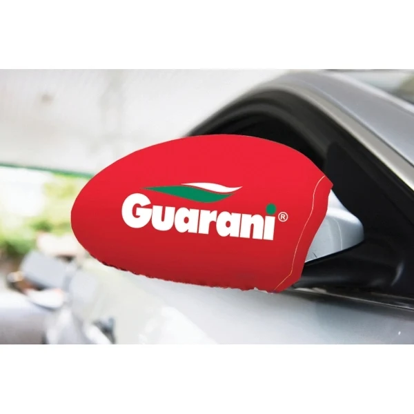 Car Mirror Cover 1