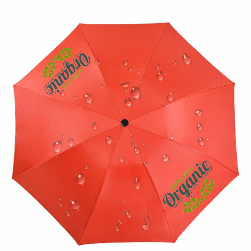 Rain And Sunshine Umbrella