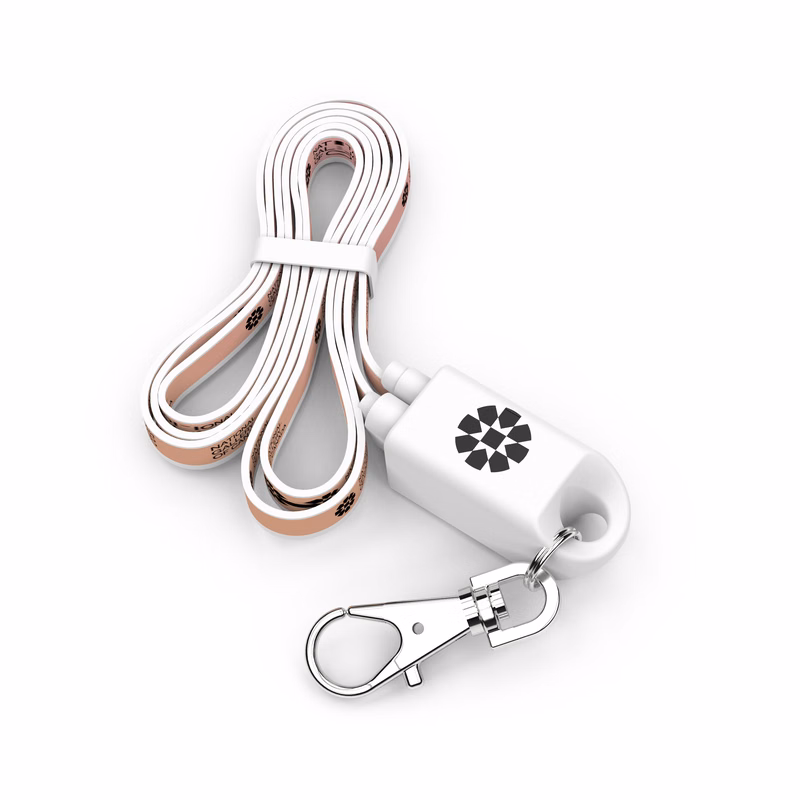 Lanyard Type C : Event badge holder and USB C charging cable