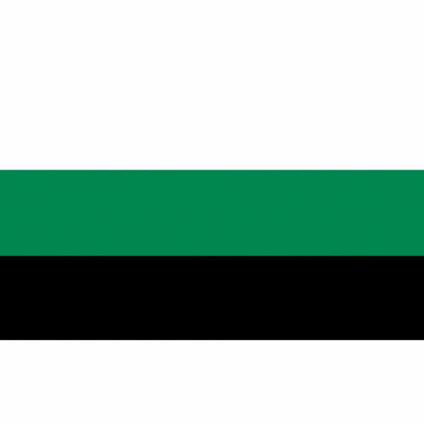 Neutrois Antenna Flag