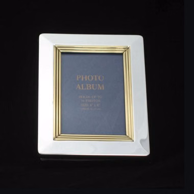 GOLD/SILVER 2-TONE METAL PHOTO ALBUM