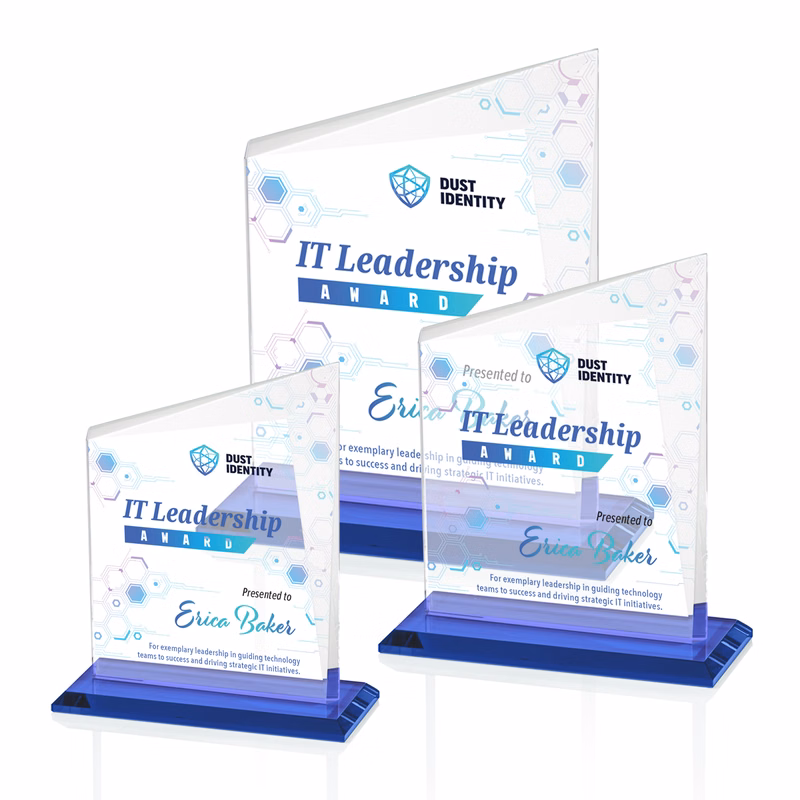 Bellamy VividPrint™ Award - Blue