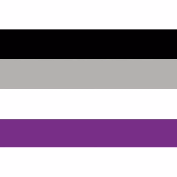 Asexual Premium Car Flag