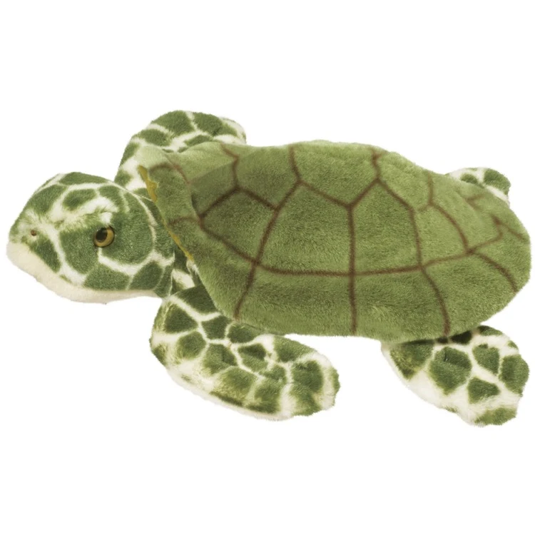 Toti Sea Turtle 1