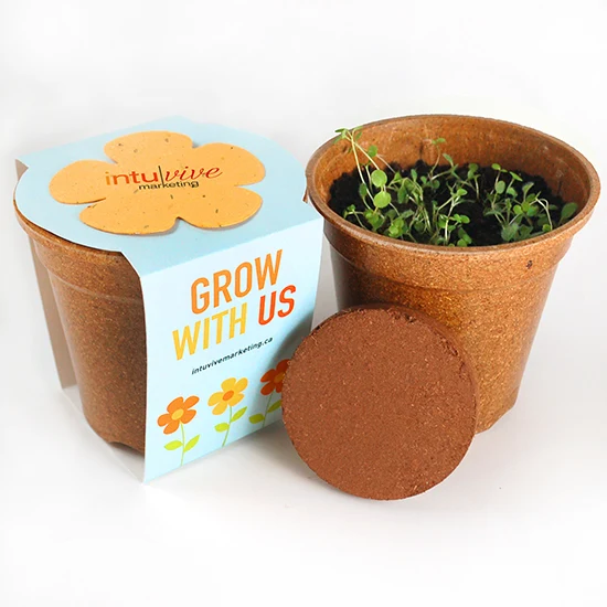 Flower Power Seed Paper Sprouter Kits 1