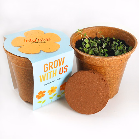 Flower Power Seed Paper Sprouter Kits