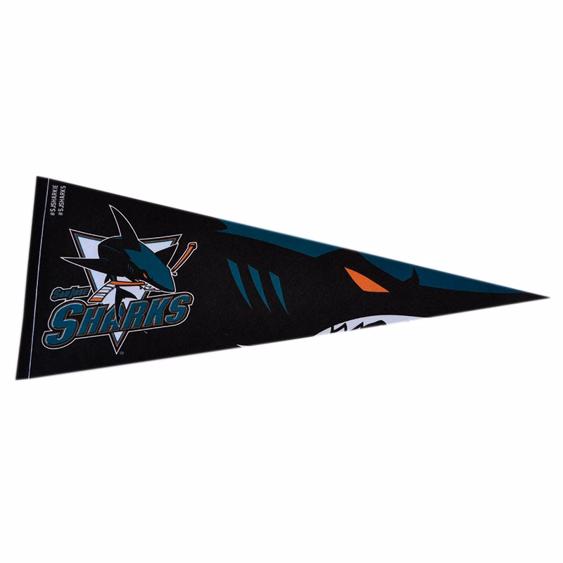 Custom Single-Sided Full Color Triangle Felt Flags
