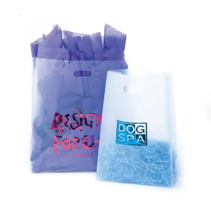 Die Cut Frosted Plastic Bag 1