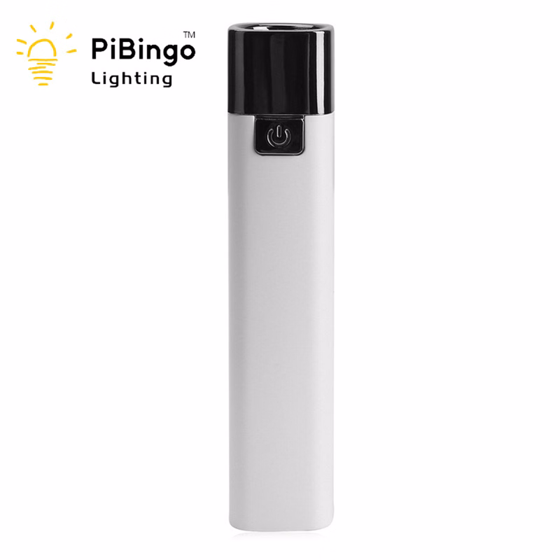 Portable Charger with Flashlight