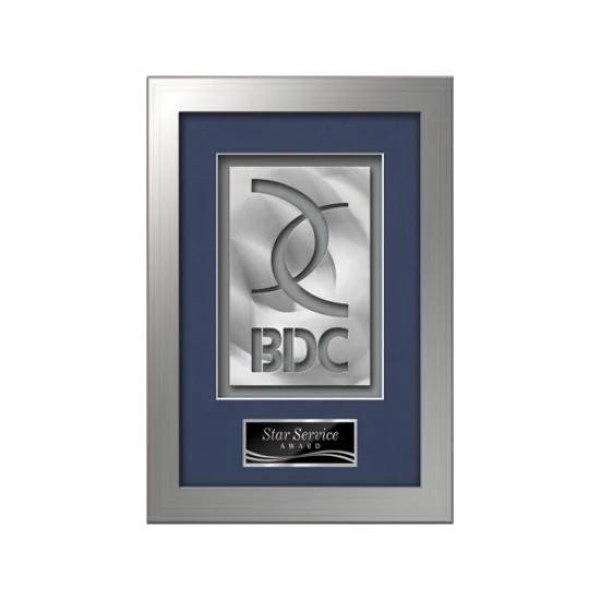 Eldridge Aquashape™ Award - Silver 1