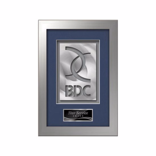 Eldridge Aquashape™ Award - Silver